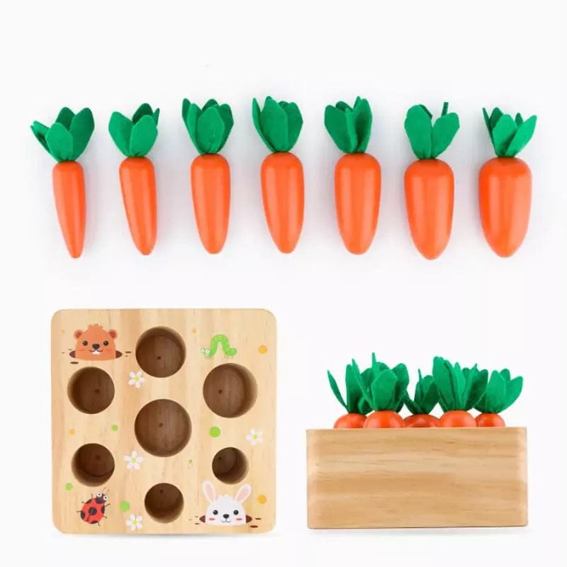 Jouets en bois montessori 2 ans présentation des jeux- Le Jardin des Carottes