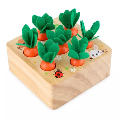 Jouets en bois montessori 2 ans fond blanc - Le Jardin des Carottes